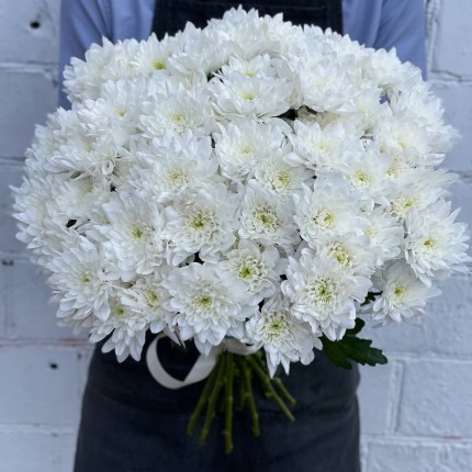 Белая кустовая хризантема - купить с доставкой в по Армавиру