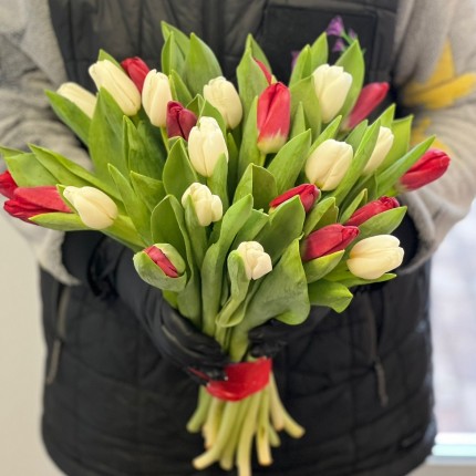 Заказать букет белых и красных тюльпанов недорого с доставкой в по Армавиру