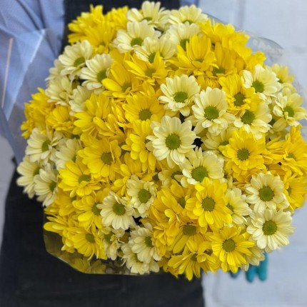 желтая кустовая хризантема - купить с доставкой в по Армавиру